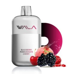Wala Pop 10K – Blackberry Pomegranate Cherry