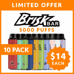 BRISK BAR – 5000 PUFFS – 10 PACK